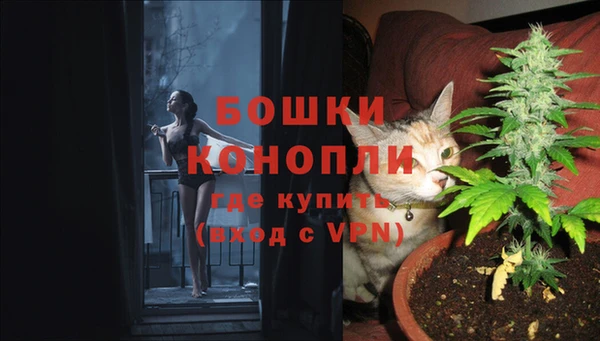 ГАЛЛЮЦИНОГЕННЫЕ ГРИБЫ Арсеньев