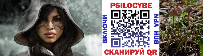Псилоцибиновые грибы ЛСД  hydra как войти  Купино 